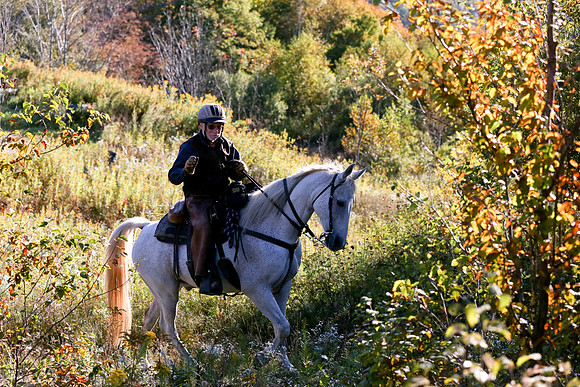 Over The Mountain 2013-19