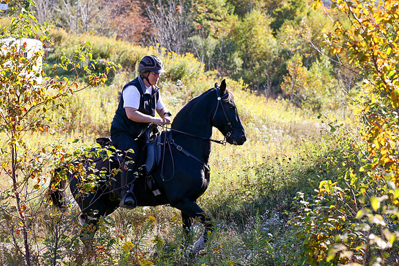 Over The Mountain 2013-22