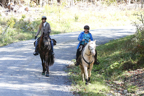Over The Mountain 2013-210