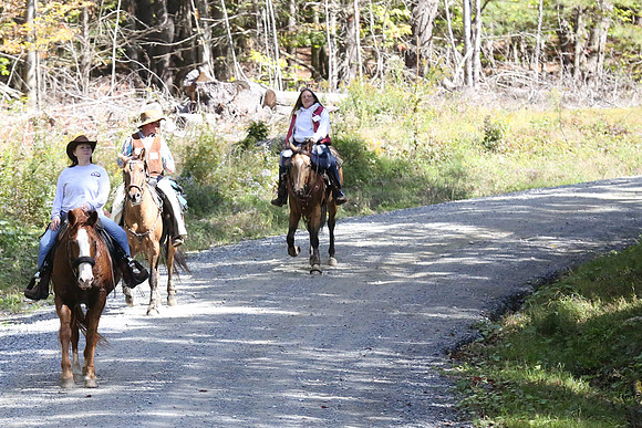 Over The Mountain 2013-223
