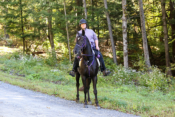 Over The Mountain 2013-205