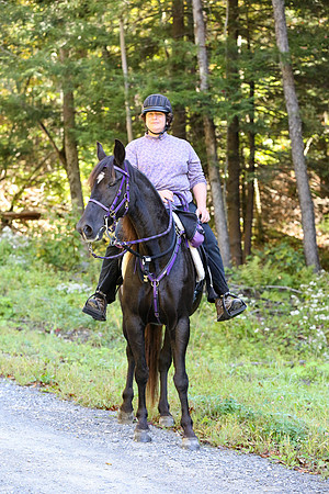 Over The Mountain 2013-207