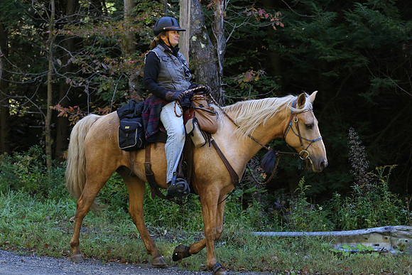 Over The Mountain 2013-126