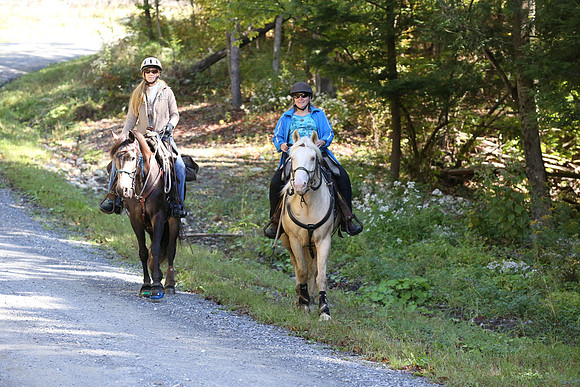 Over The Mountain 2013-215
