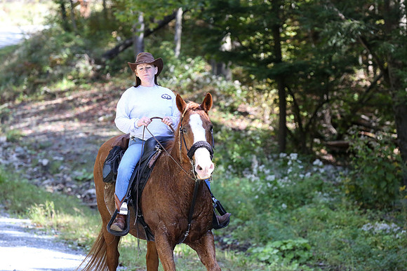 Over The Mountain 2013-226