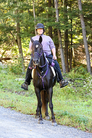 Over The Mountain 2013-208