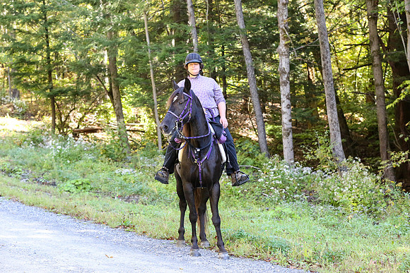 Over The Mountain 2013-206