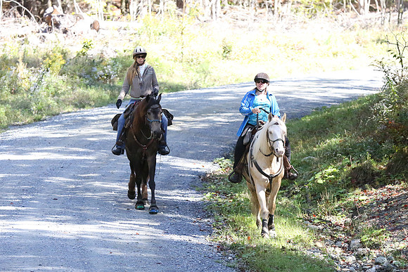 Over The Mountain 2013-211
